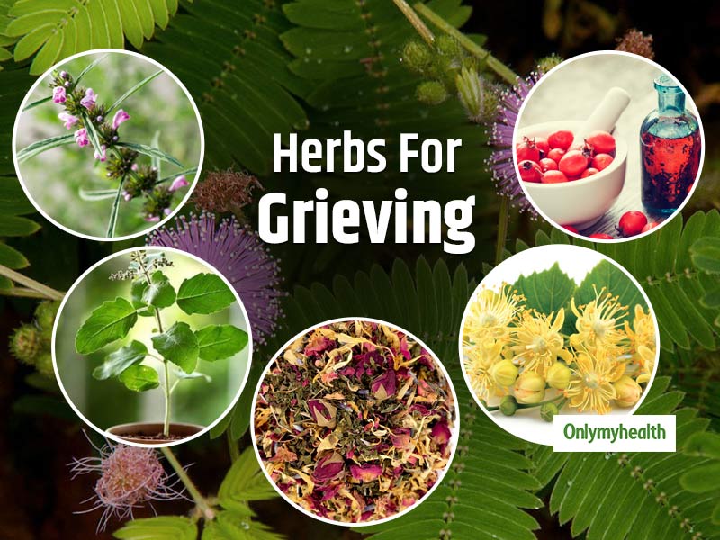 Hawthorn & Healing Herbs: Nature's Aid for Grief and Sorrow