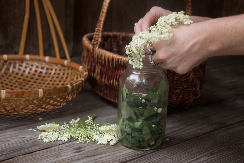 Overcome Sorrow and Grief: Discover Nature's Healing Herbs